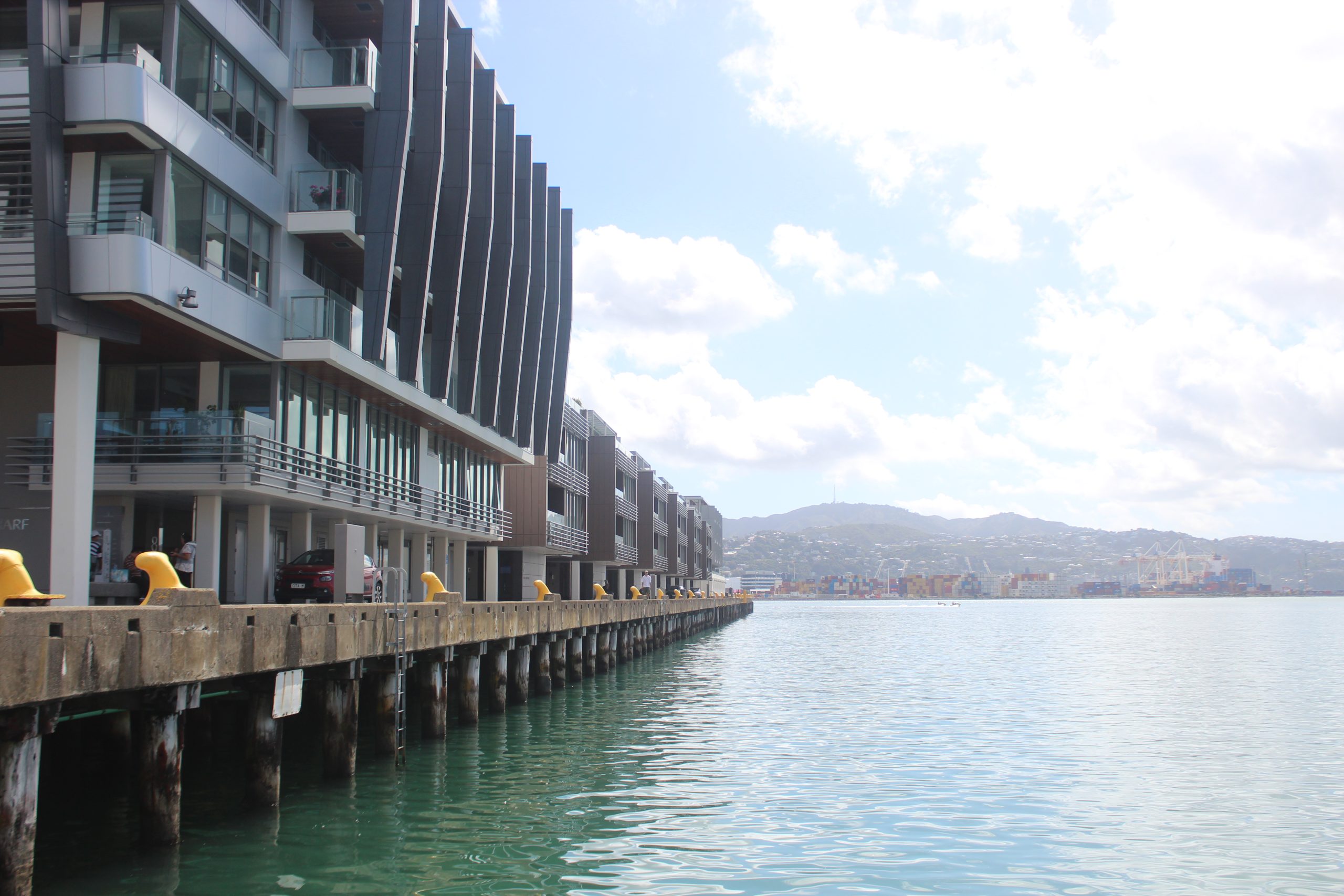 Picture of landscape in New Zealand