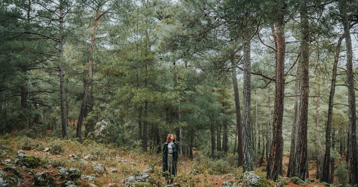 A woman in a black coat explores a lush woodland in Antalya, Türkiye.